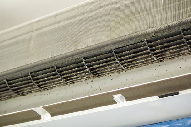 Best Professional Duct Cleaning Services  in West Springfield, VA
